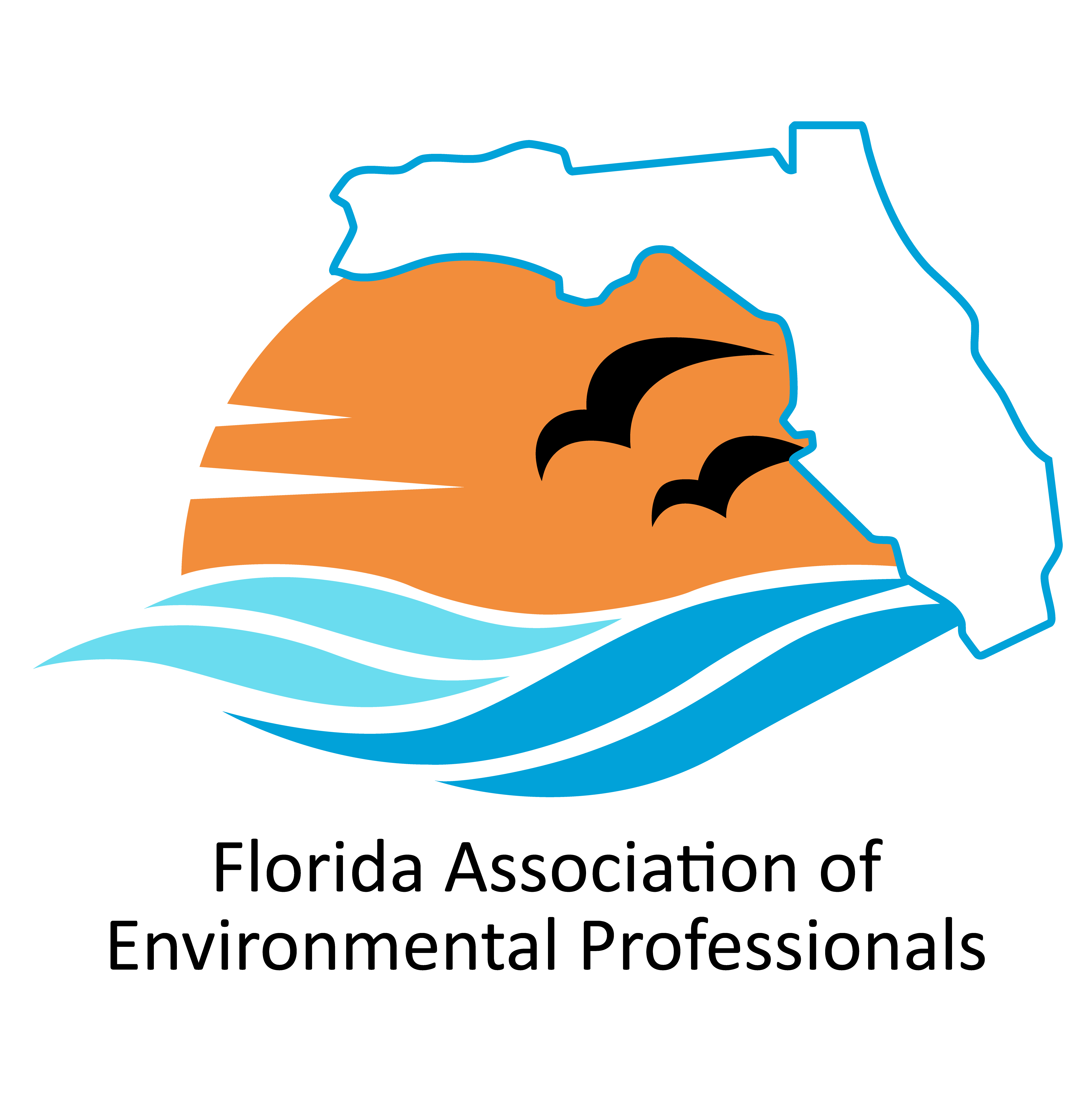 Florida AEP